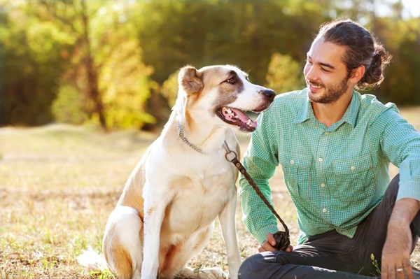 10 Ways to Get Dogs Start Liking You