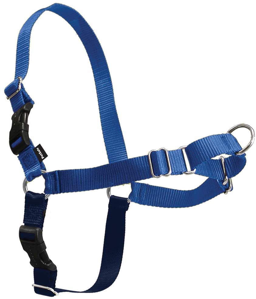petsafe easy walk harness for yorkies