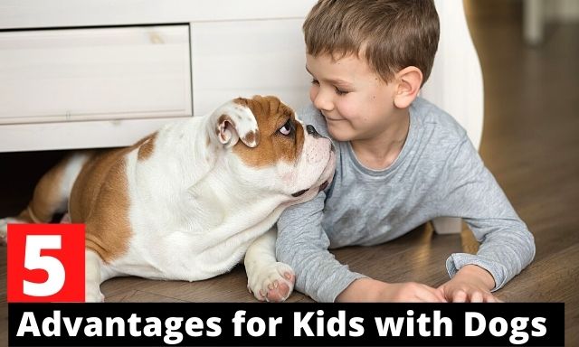 5 Advantages for Kids Who Grow Up With Dogs